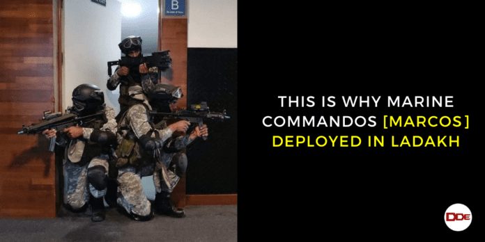 marine commandos deployed in ladakh