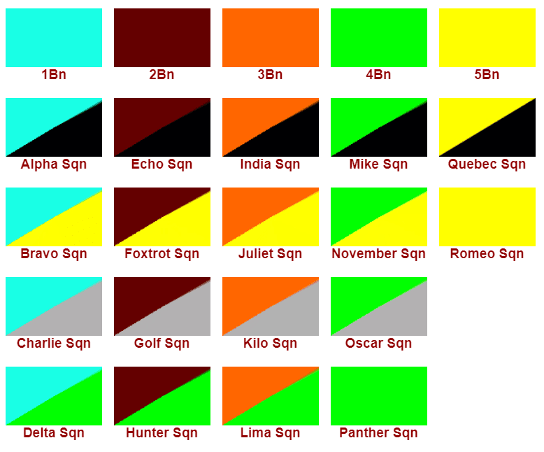 squadrons and battalions nda