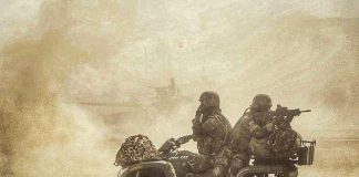 four phases to become para sf