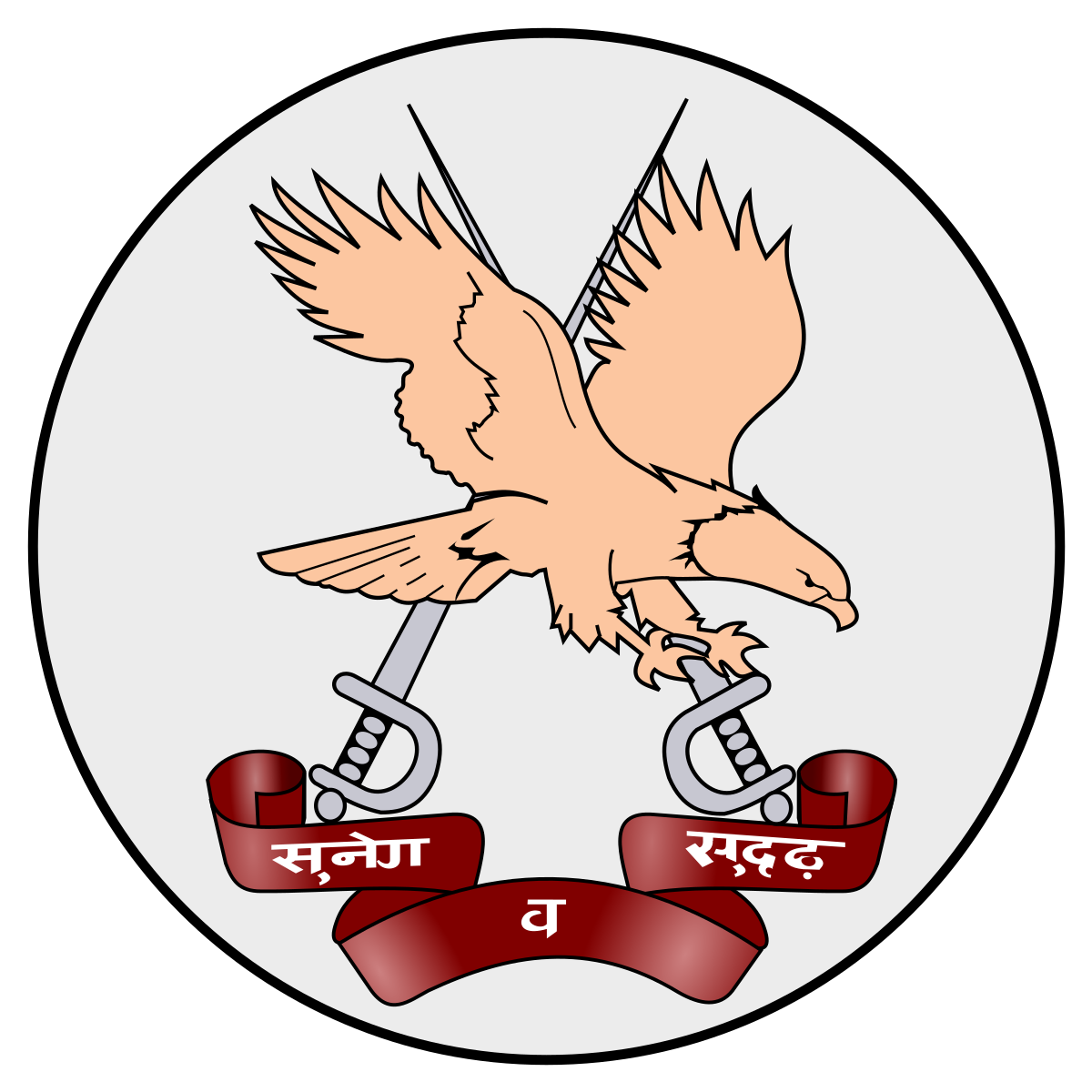 Army Aviation Corps