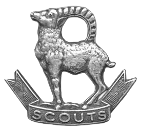 ladakh scouts