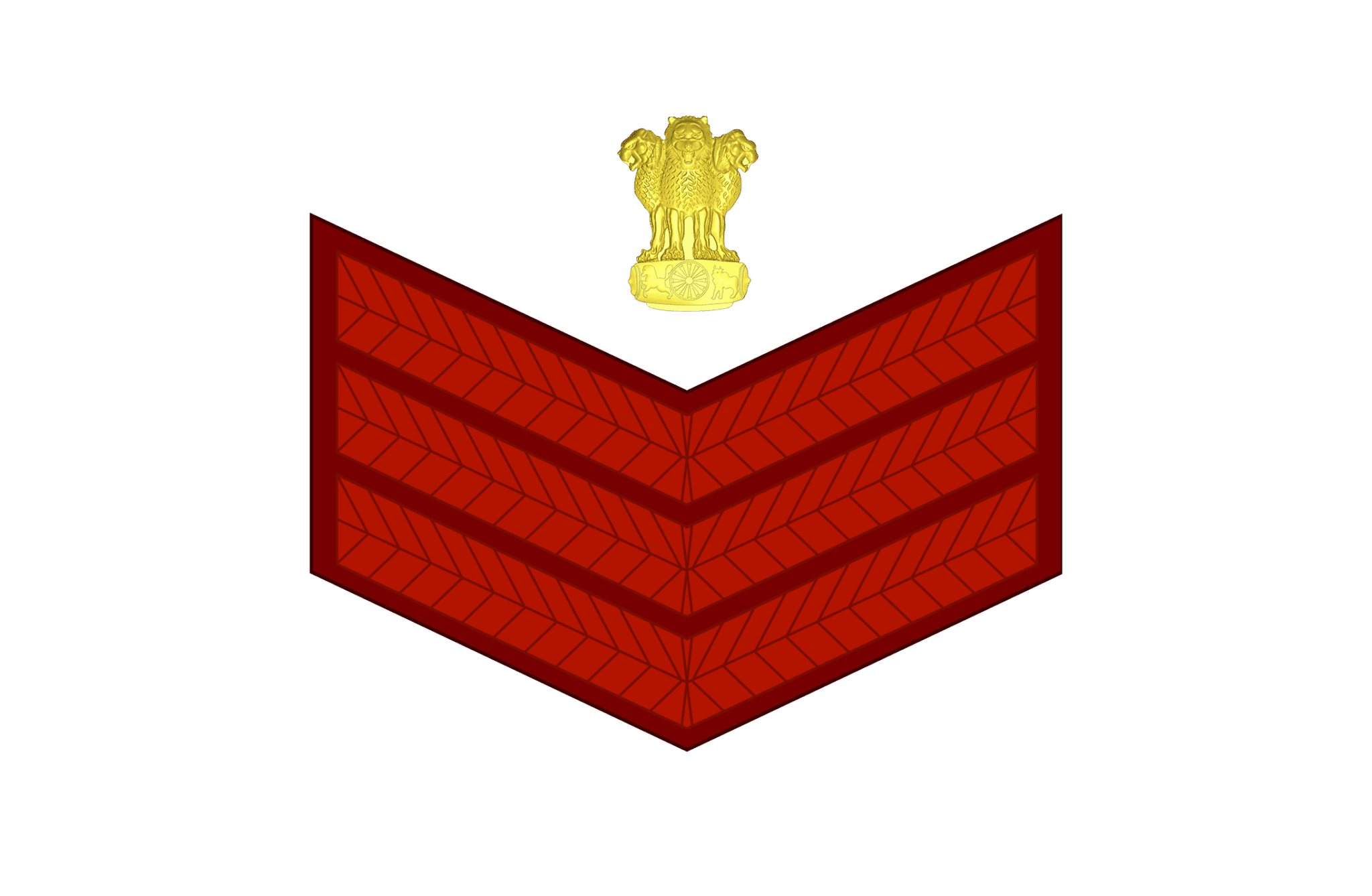 11 NDA Ranks & Powers Earned by NDA Cadet | DDE