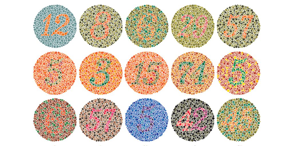 Ishihara test plates used for colour perception test during SSB interview medicals.