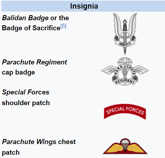 Insignia of Parachute Regiment's SF