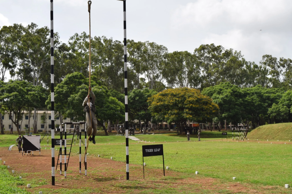 Tiger leap individual obstacle