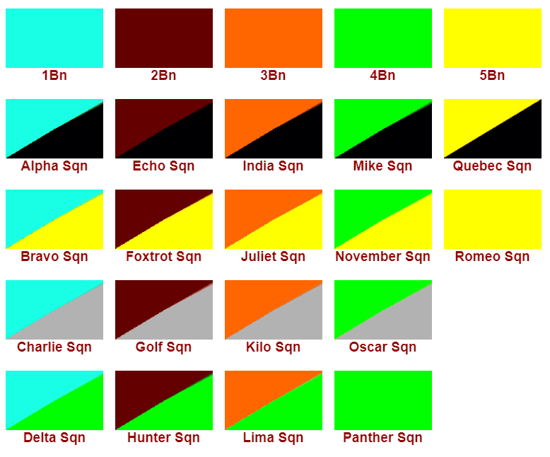 Flags of NDA squadrons and battalions