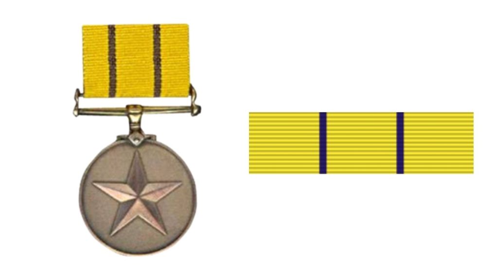 AVSM