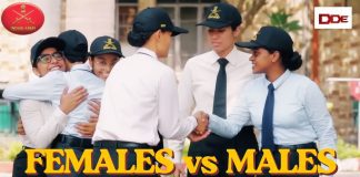 Females vs Males in SSB
