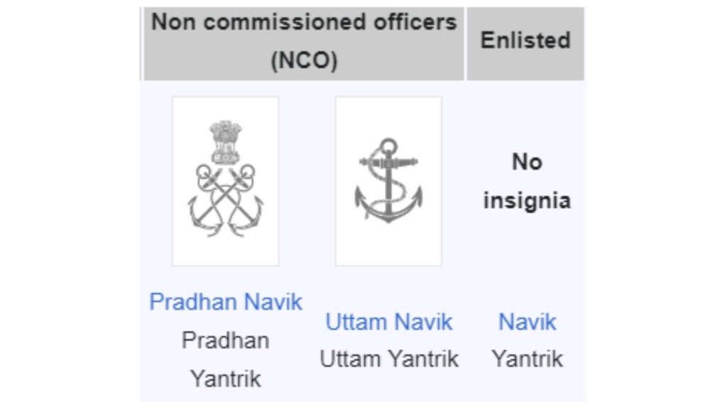 NCOs and enlisted ranks