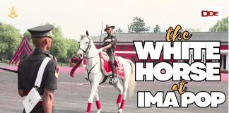 The white horse at IMA POP