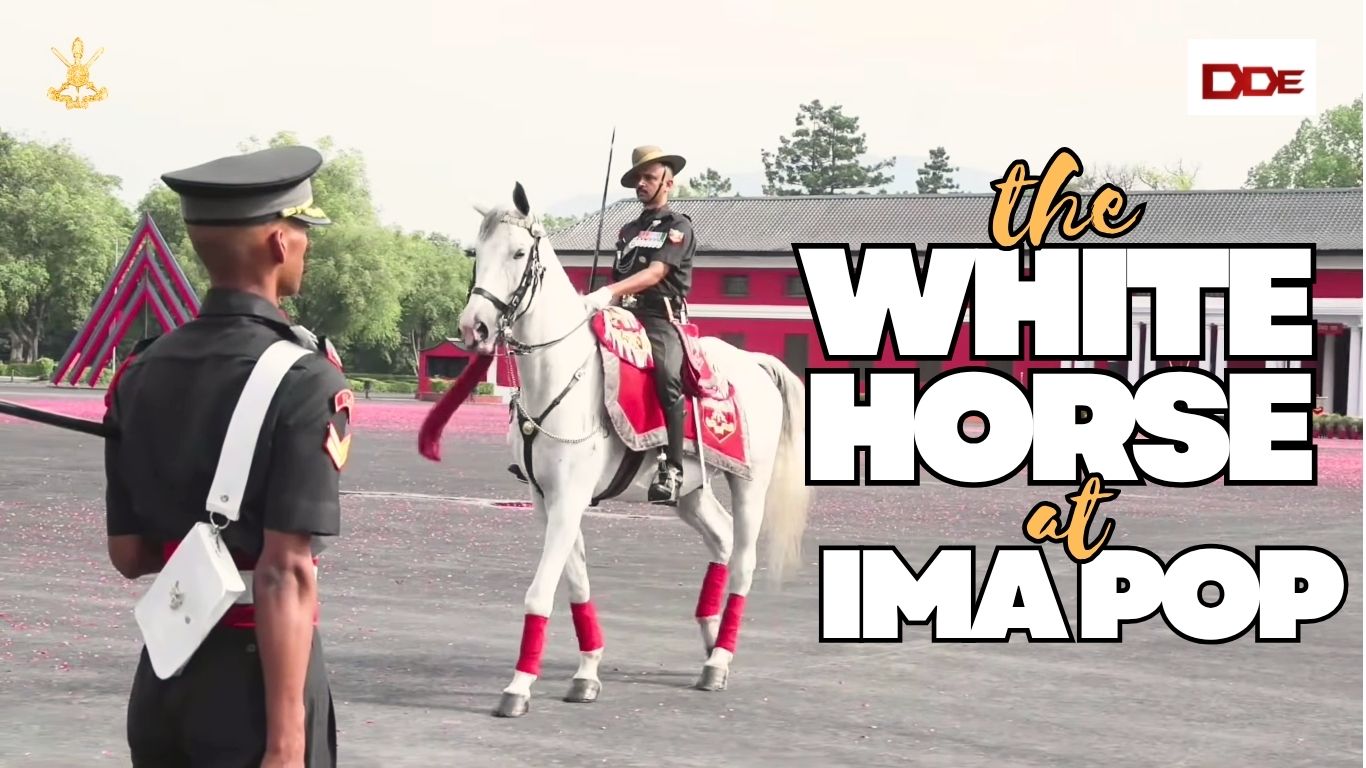 The white horse at IMA POP