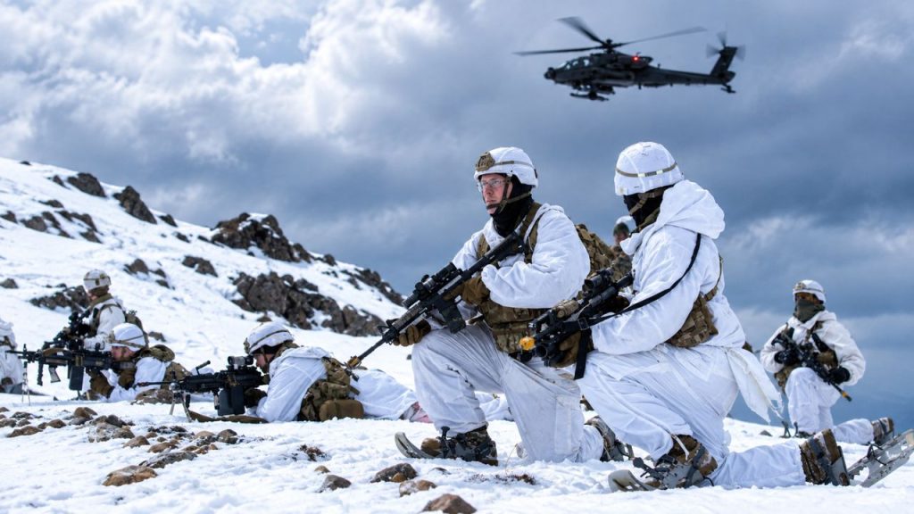 Arctic Angels