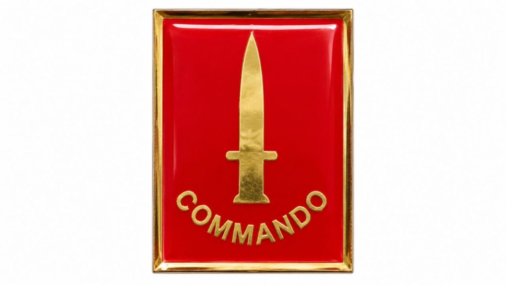 Commando Dagger Badge