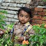 Anil Anil